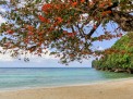 Photo 25 of Exclusive Beach Property for Sale in Nasog, Buruanga (very near Boracay)