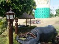 Photo 3 of Residential Farm Lot in Leisure Farms, Lemery Batangas (15 minutes away from Tagaytay)