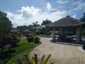 Photo 5 of Residential Farm Lot in Leisure Farms, Lemery Batangas (15 minutes away from Tagaytay)
