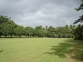 Vacant Lot (landscaped and developed) in Tanauan Batangas