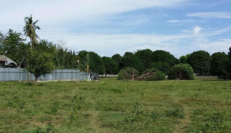 Photo 5 of Prime lot for sale in Carmen - clean title 
