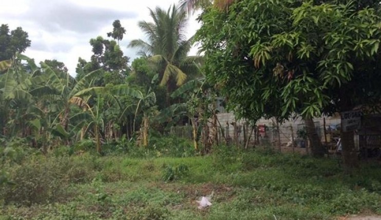 Photo 8 of lot near resorts in pandi bulacan