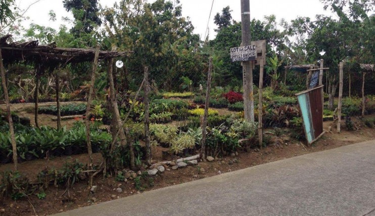 Photo 1 of LOT FOR SALE AT SILANG,CAVITE