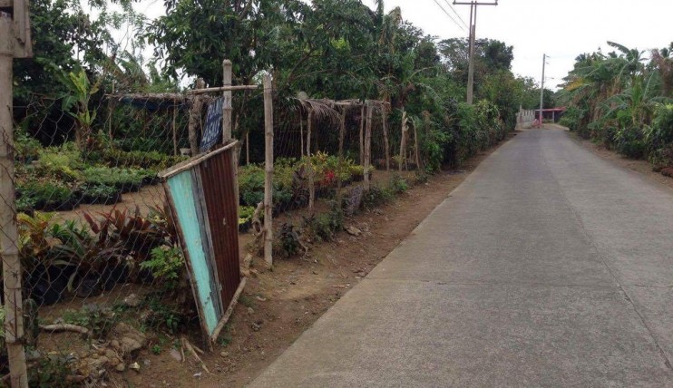 Photo 3 of LOT FOR SALE AT SILANG,CAVITE