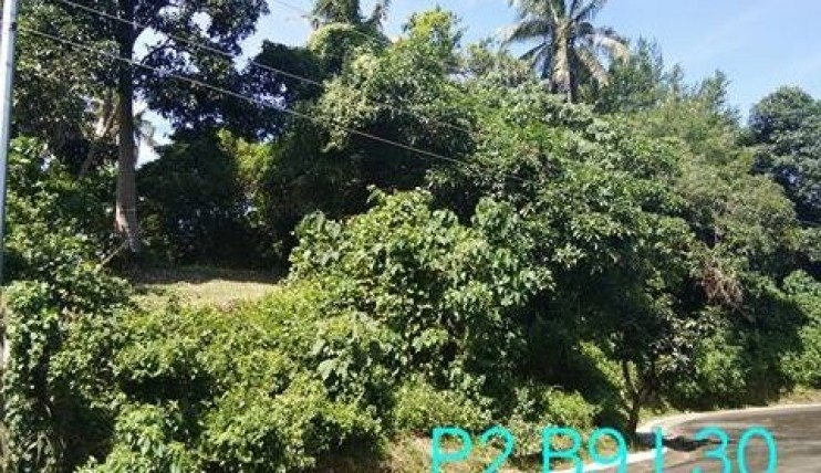 Photo 7 of Residential Farm Lot in Leisure Farms, Lemery Batangas (15 minutes away from Tagaytay)