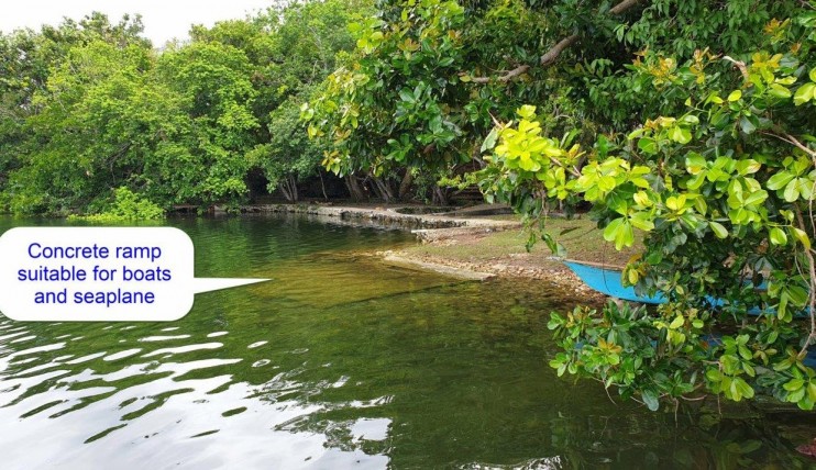 Photo 9 of LAKESIDE LOT FOR SALE: 600sqm on Lake Danao